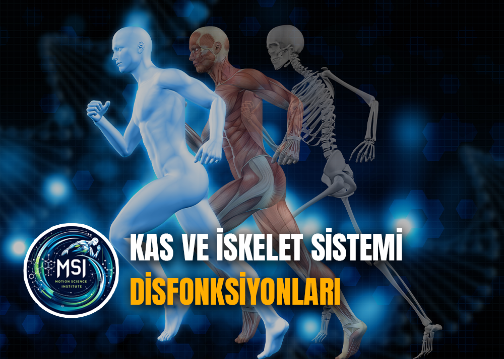 Kas ve İskelet Sistemi Disfonksiyonları |